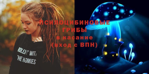 гидра Мегион