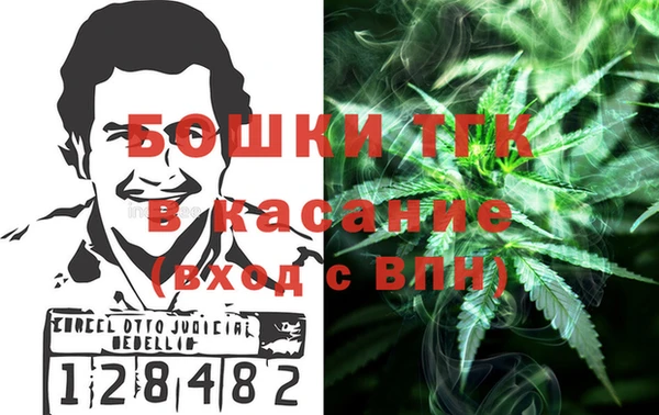 гидра Мегион