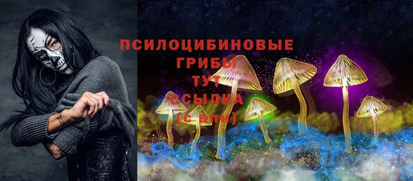 не бодяженный Медногорск