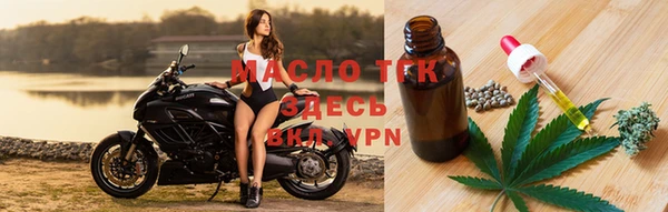 гидра Мегион