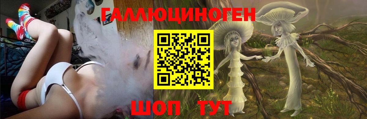 Псилоцибиновые грибы Psilocybe Энгельс