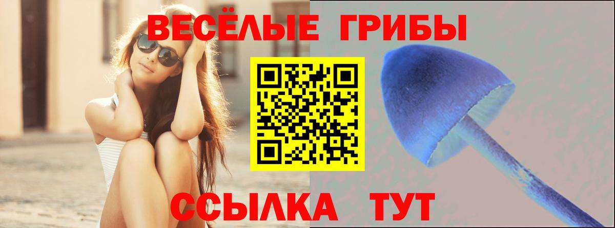 Энгельс  Галлюциногенные грибы Psilocybe  купить наркотик  Галлюциногенные грибы ЛСД  Вход с VPN 